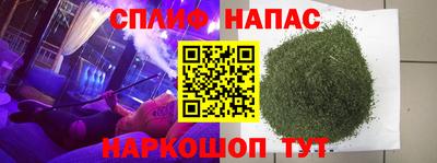 прущие грибы Заводоуковск