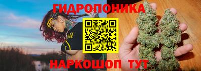 дмт Жуковский