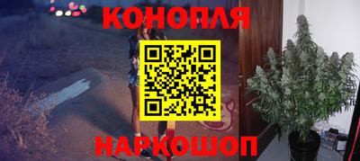 прущие грибы Заводоуковск