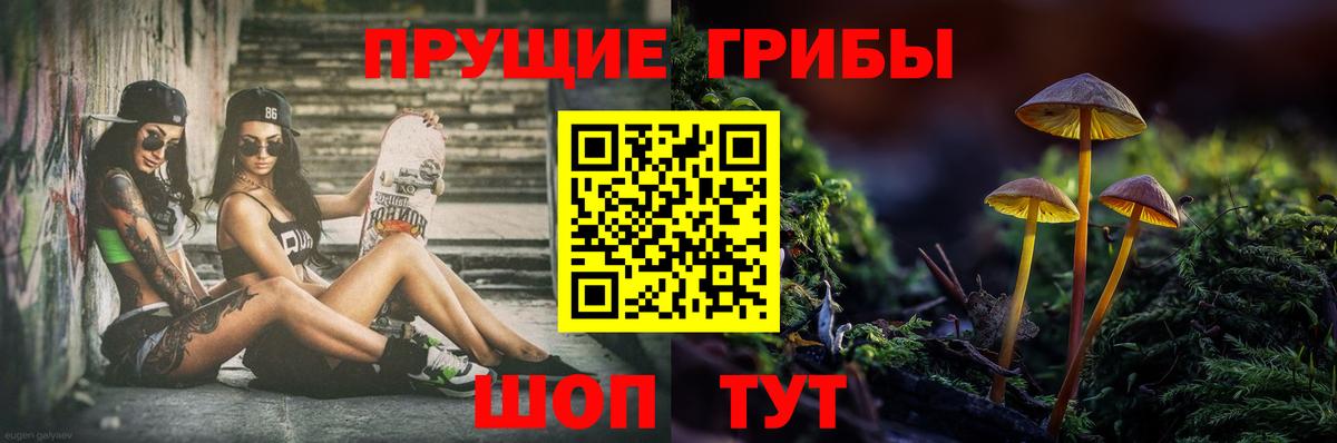 Галлюциногенные грибы Psilocybe  Вход с VPN  Галлюциногенные грибы мицелий  Лабинск 